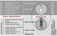 О христианском отношении к смерти узнали студенты медицинского колледжа